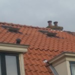 Dakramen monteren in Haarlem